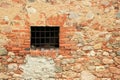 Rusty window grille and old brick wall