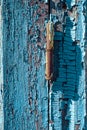 Rusty window hinge on blue wood shutter with cracked and scratch. Vertical grunge wood texture