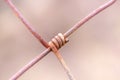 Rusty wire isolated on bright background Royalty Free Stock Photo