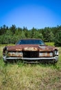 Rusty wreck of a historic american car on a meadow