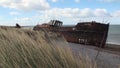 Rusty wreckage shipwreck Amadeo of cargo ship on beach ocean in San Gregorio.