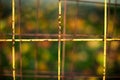 Rusty yellow grid on green background