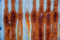 Rusty zinc texture , rusty zinc barn wall Royalty Free Stock Photo