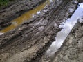 Rut-filled dirt road with puddles