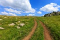 Rut road across mountain meadow Royalty Free Stock Photo