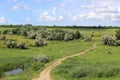 Rut road on green meadow Royalty Free Stock Photo