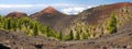 Ruta de los Volcanes, La Palma Royalty Free Stock Photo