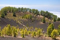 Ruta de los Volcanes, La Palma