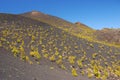 Ruta de los Volcanes, La Palma Royalty Free Stock Photo