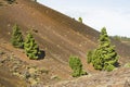 Ruta de los Volcanes Landscape, La Palma, Spain