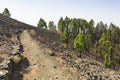 Ruta de los Volcanes Trail, La Palma, Spain