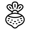 Rutabaga crop icon outline vector. Nutritional turnip root