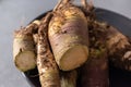 Rutabaga, root cabbage or swede is a hardy vegetable rich in vitamin C Royalty Free Stock Photo
