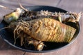 Rutabaga, root cabbage or swede is a hardy vegetable rich in vitamin C Royalty Free Stock Photo