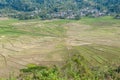 Ruteng - A close up on the Lingko Spider Web Rice Fields Royalty Free Stock Photo