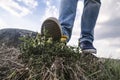 Ruthless leg of a man tries to step on the defenseless yellow dandelion Taraxacum against the sky and clouds. View from the