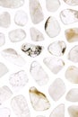Rutilated quartz rare stones texture on white light isolated background