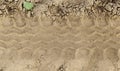 Ruts in the sand in nature Royalty Free Stock Photo