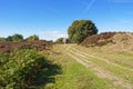 Footpath on Stanton Moor to the Cork Stone Royalty Free Stock Photo