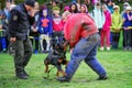 Police dog training Royalty Free Stock Photo
