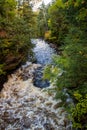 Rver flowing in a forest covered in yellowing plants in autumn in Michigan, the US