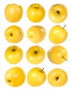 RW Set of yellow apples on a white background