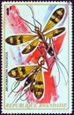 RWANDA - CIRCA 1973: A stamp printed in Rwanda from the `Rwanda Insects` issue shows a pair of Archibracon fasciatus, circa 1973.