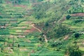 Rwanda Royalty Free Stock Photo