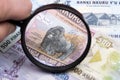 Rwandan franc in a magnifying glass