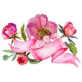 RWildflower peony flower in a watercolor style isolated.