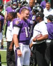 Ryan Mallett Royalty Free Stock Photo