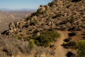 Ryan Mountain Trail Looks Out Over The Lost Horse Valley Below