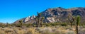 Ryan Mountain Wide Angle View Royalty Free Stock Photo
