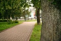 Rybinsk, Russia - July 15, 2020: Public park in the business part of the city, the trunk of an old linden tree close-up against