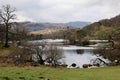 Heron Island on Rydal Water, Lake District, Cumbria, England, UK Royalty Free Stock Photo