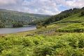 Rydal Water, Cumbria Royalty Free Stock Photo