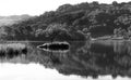 Rydal Water, Lake District, UK. Royalty Free Stock Photo