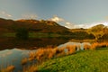 Rydal Water Royalty Free Stock Photo