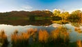 Rydal Water Royalty Free Stock Photo