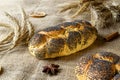 Rye bread. Bakery with crusty loaves and crumbs. Fresh loaf of rustic traditional bread with wheat grain ear or rye spike plant on Royalty Free Stock Photo