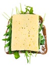 Rye bread, cheese and fresh arugula sandwich