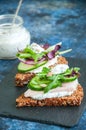 Rye bread crostini with Royalty Free Stock Photo