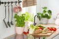 Rye bread on a cutting board, tomatoes and vegetables on a white kitchen interior countertop with Basil herbs in a pink pot Royalty Free Stock Photo