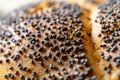 Rye bread. Fresh loaf of rustic traditional bread with wheat poppy seeds in pattern of macro photography. Rye bakery with crusty Royalty Free Stock Photo