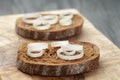 Rye bread grated with garlic with leek, crostini Royalty Free Stock Photo