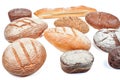 Rye bread laid out on a white background.