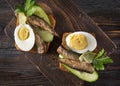 2 rye bread sandwiches with sprats, fresh cucumber, herbs and boiled egg on a dark wooden background, canned fish