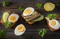 Rye bread sandwiches with sprats, fresh cucumber, parsley, lime and boiled egg on a dark wooden background, top view, canned fish