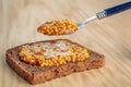 Rye bread slice witth spoon of wholegrain mustard Royalty Free Stock Photo