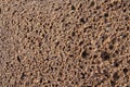 Rye bread texture. Black bread. Cut off Royalty Free Stock Photo